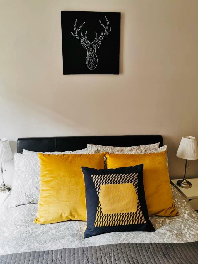City Centre Georgian Style Apartment Дублін Екстер'єр фото